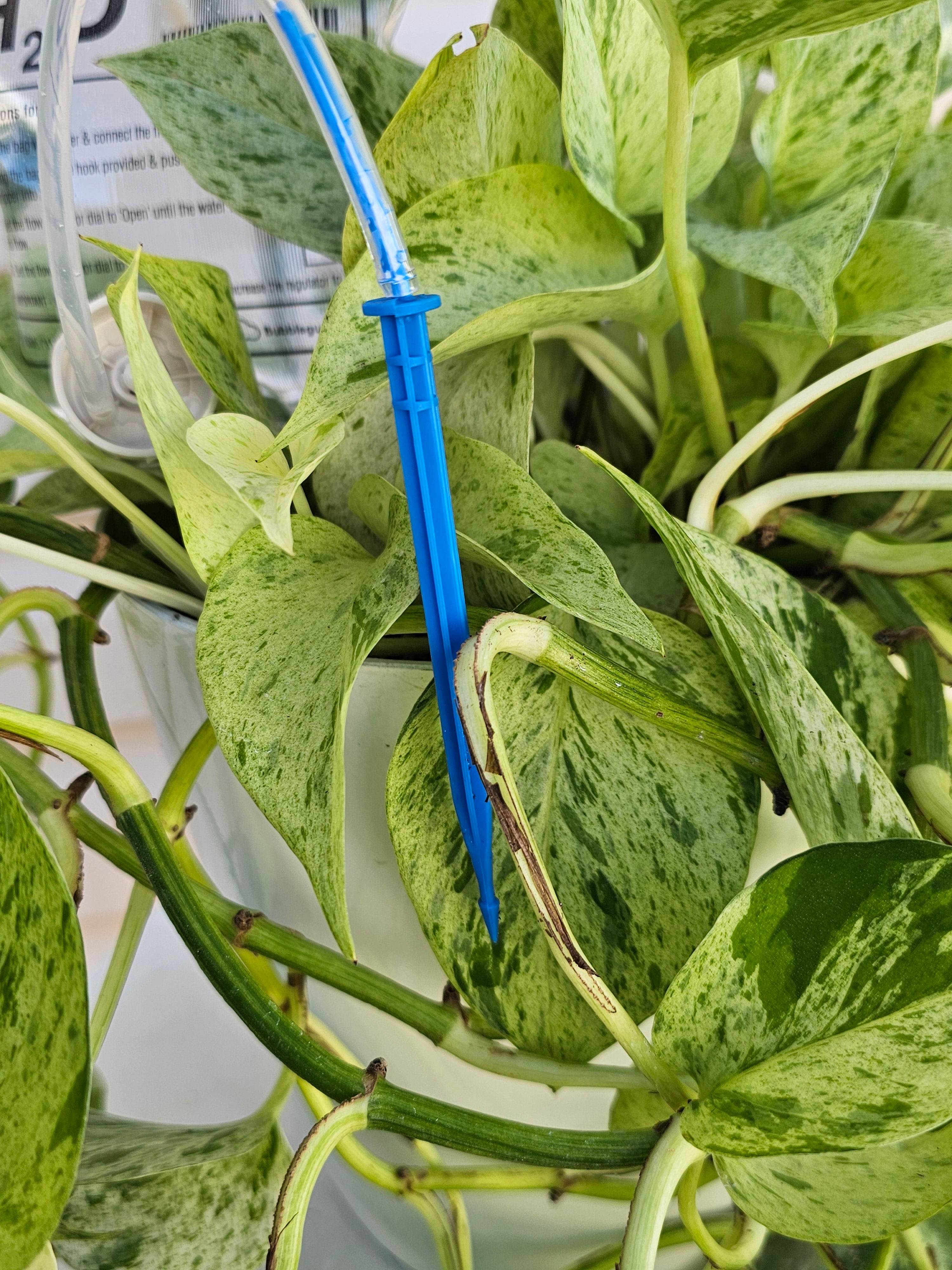 Plant Life Support  Automatic Waterer IV Bag image 3