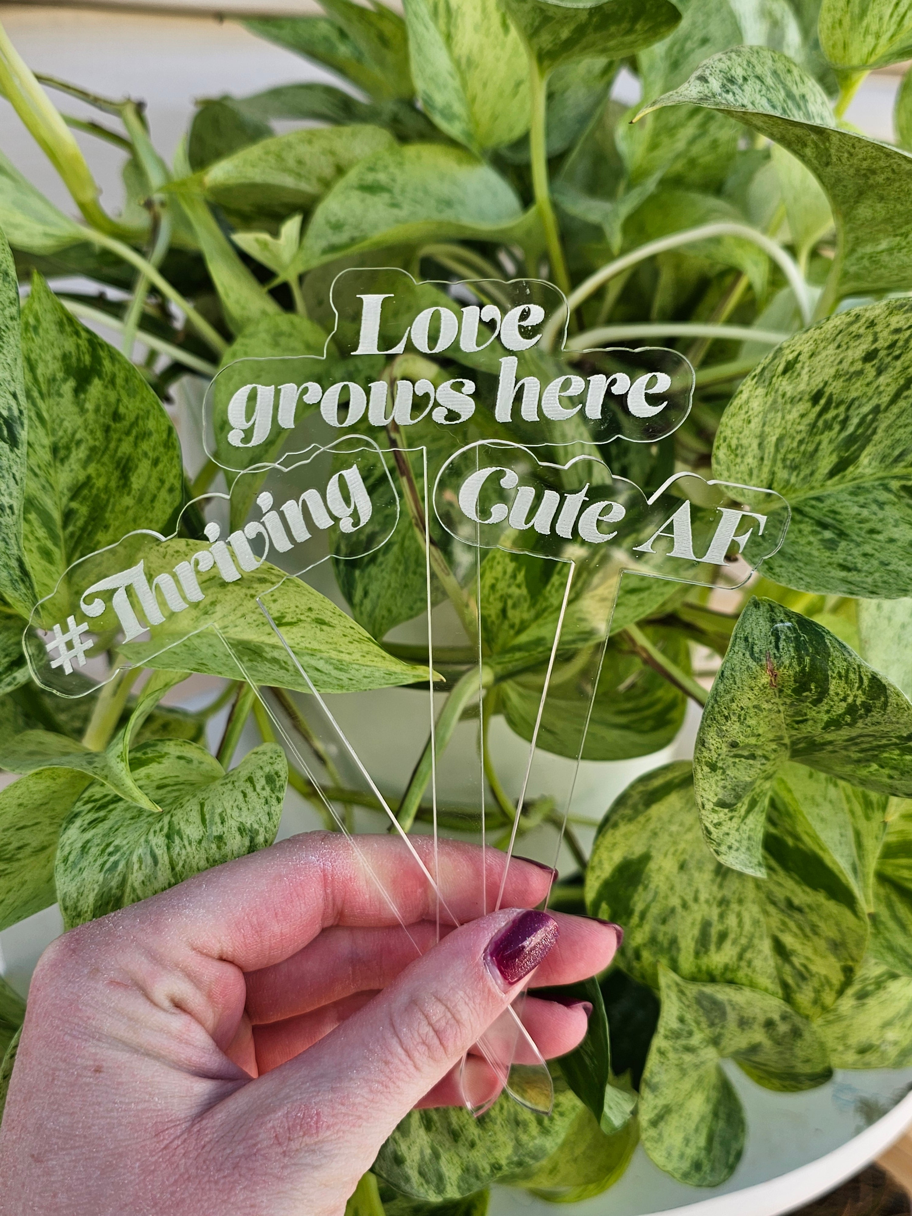 Meaningful Acrylic Plant Stakes  3 Pack image 0