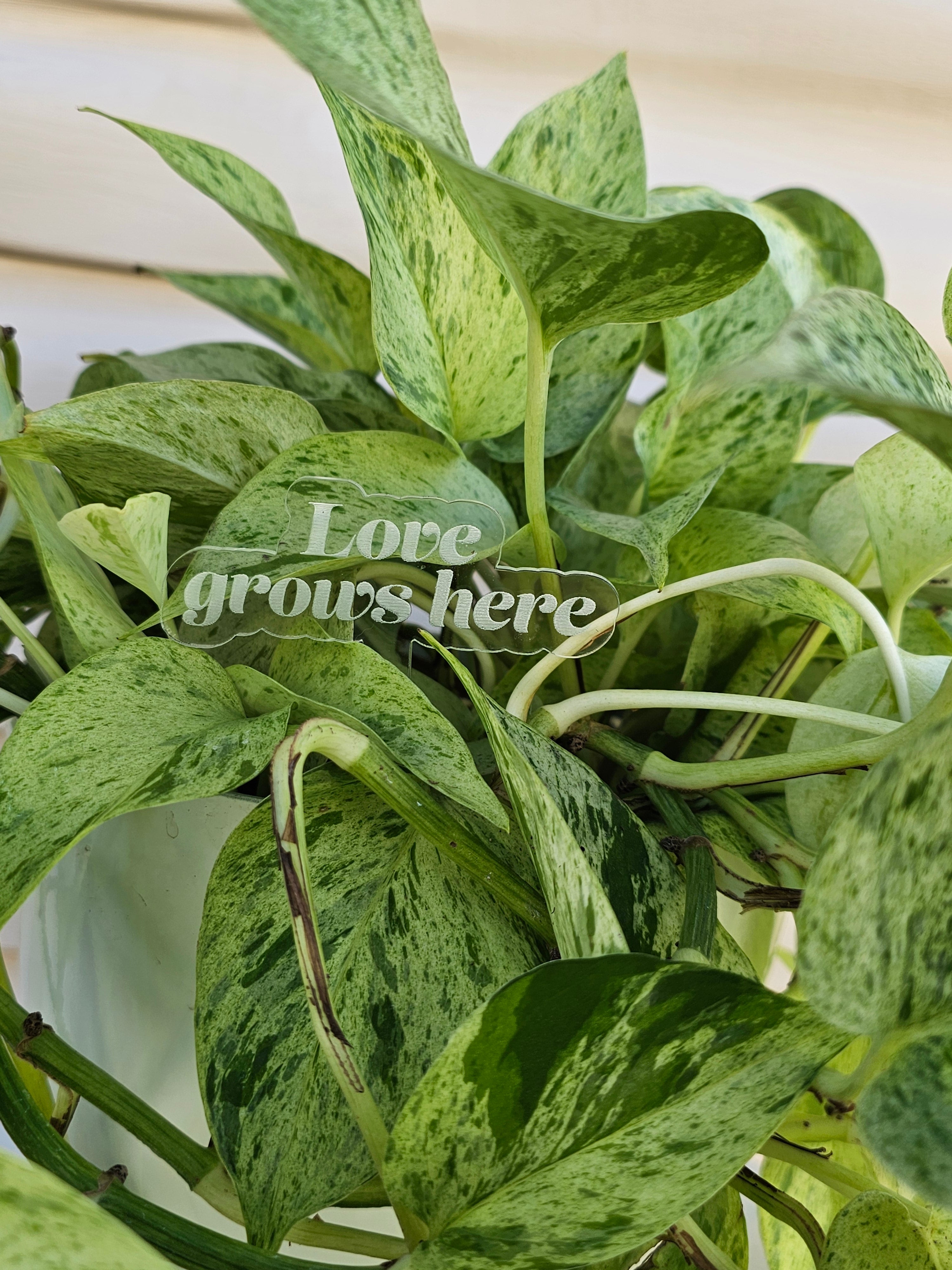 Meaningful Acrylic Plant Stakes  3 Pack image 2