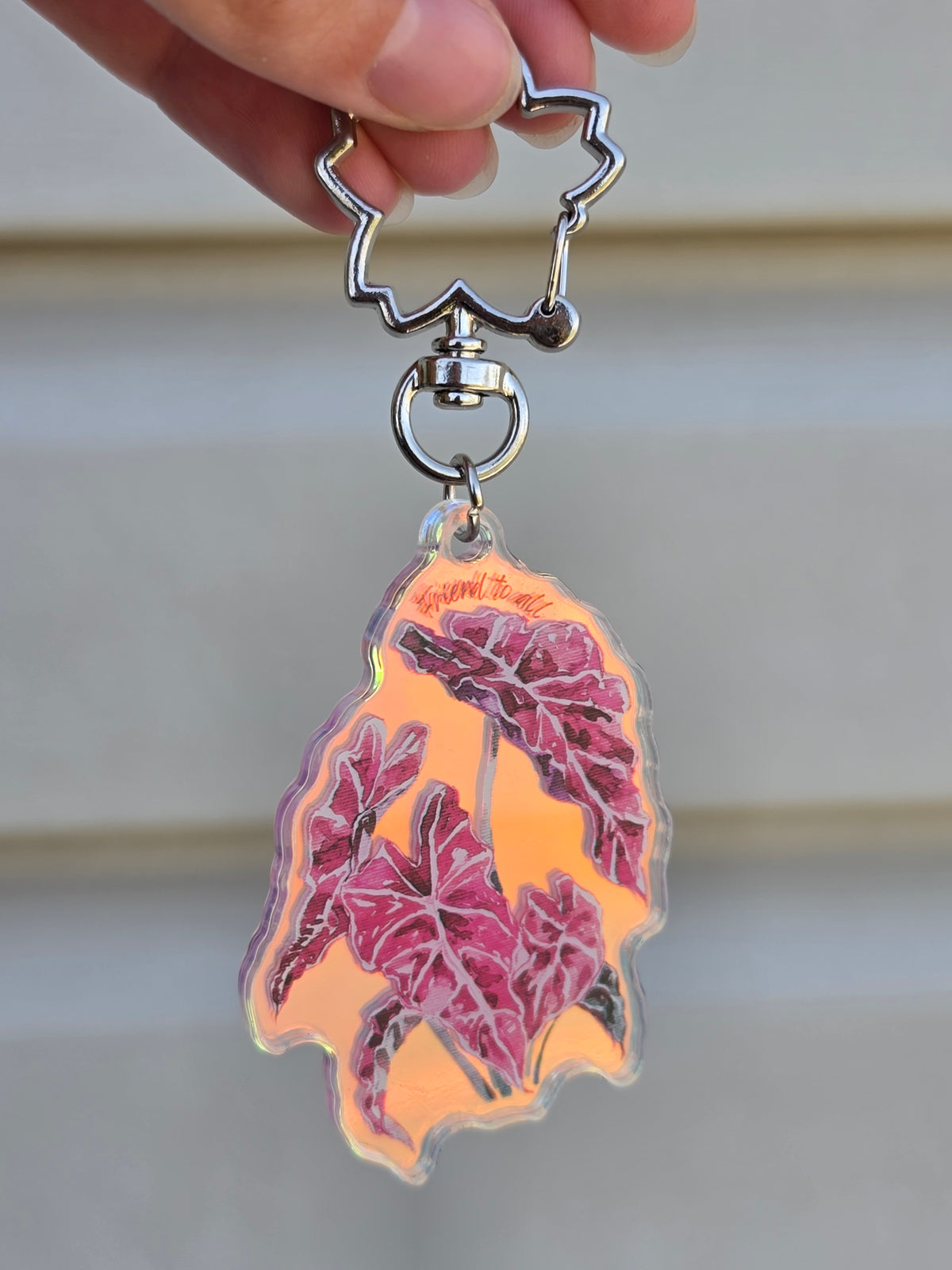 "Friend to All" Rainbow Acrylic Keychain