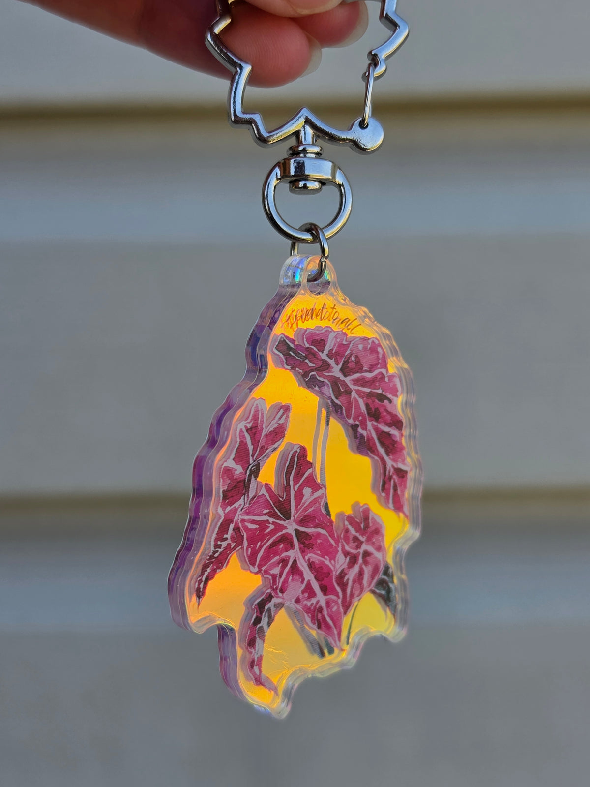 "Friend to All" Rainbow Acrylic Keychain