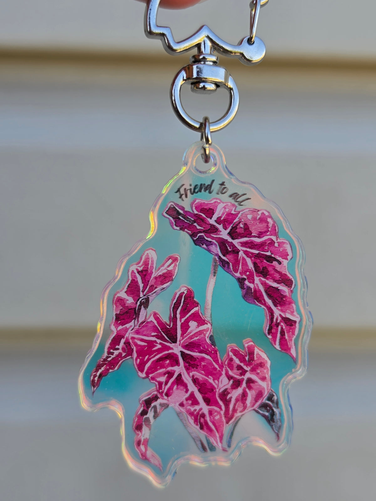 "Friend to All" Rainbow Acrylic Keychain
